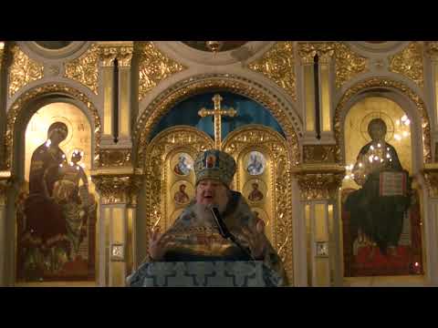 Видео: архимандрит Николай (Парамонов) "Цель жизни человека приобретение Безначальной Энергии Святого Духа"