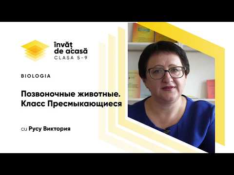 Видео: 8й класс; Биология; "Позвоночные животные. Класс Пресмыкающиеся"