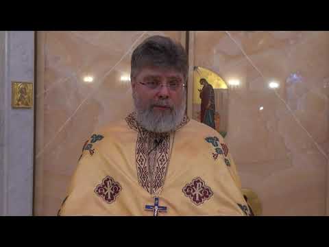 Видео: Слово перед причастием на Божественной Литургии 2 января 2022г.