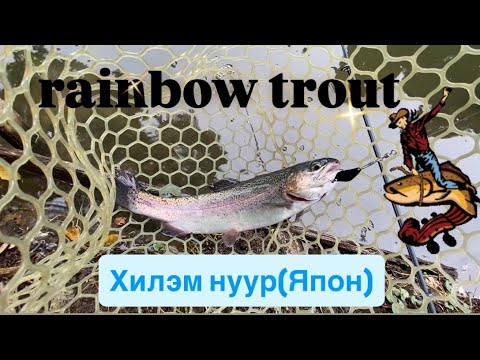 Видео: Загасчлал: Хилэм нуур 