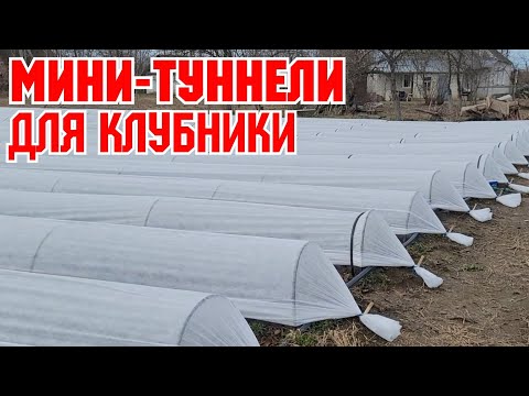 Видео: Накрываем мини-туннели Агроволокном!