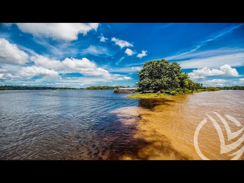 Видео: Слияние рек - Confluence of rivers