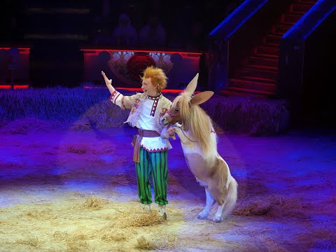 Видео: "Конёк Горбунок" в Цирке Никулина на Цветном  бульваре