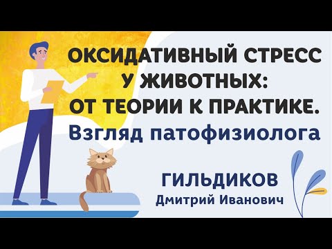 Видео: Оксидативный стресс у животных: от теории к практике. Взгляд патофизиолога