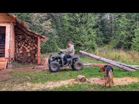 Видео: СТРОИМ ПРОСТОЙ И КРАСИВЫЙ ДРОВНИК ИЗ ЖЕРДЕЙ | ТАСКАЕМ ДРОВА НА КВАДРИКЕ | ИЗБА ВСТРЕЧАЕТ ГОСТЕЙ