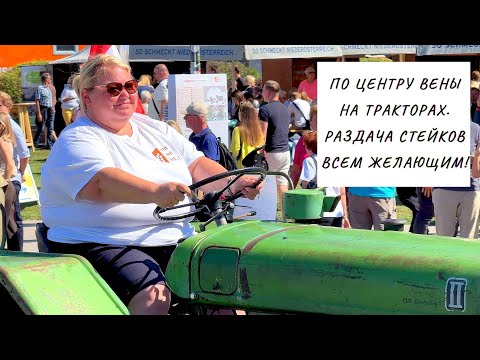 Видео: Вена, раздача стейков всем желающим. Бесплатно!