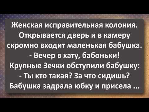 Видео: Поручик Раскукожил Горничную Графини! Сборник Самых Свежих Анекдотов!