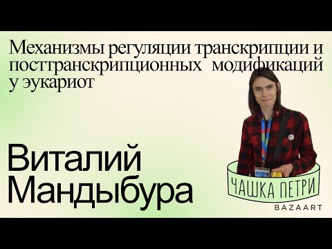 Видео: Механизмы регуляции транскрипции и посттранскрипционных модификаций у эукариот