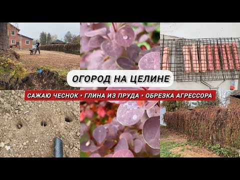 Видео: Именная посуда от хозяина👨 / Грунт из пруда / Огород на целине / Сажаю чеснок🧅 