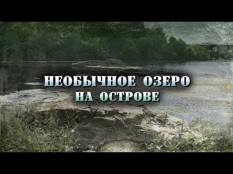 Видео: Бабье озеро в Киеве. Тоннели, старое поселение, сом-людоед