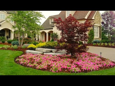 Видео: Творчество и Декор Интересные идеи для сада / Creativity and decoration Ideas for the garden