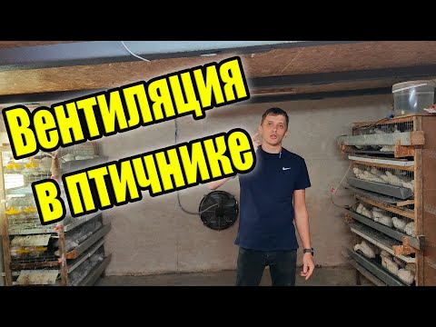 Видео: Как сделать идеальную вентиляцию в курятнике? Простой расчет!