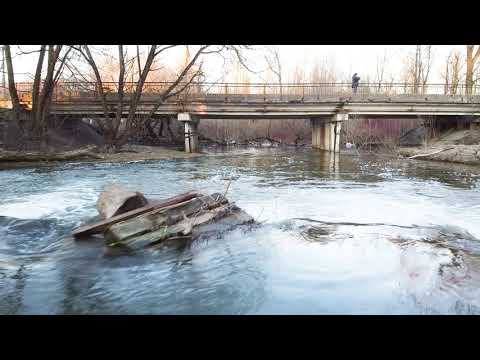 Видео: д. Горбунки (Ленинградская область)