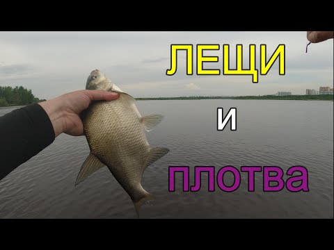 Видео: #мормышинг | Плотва, лещи | CF Sub Zero |