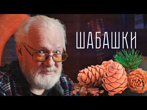 Видео: Быстрые деньги в СССР! Сколько зарабатывали на нетрудовых доходах? | Владимир Коваленко