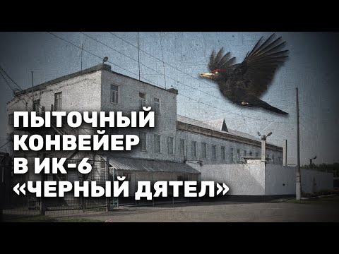 Видео: Издевательства и пытки в ИК-6 "Черный дятел"