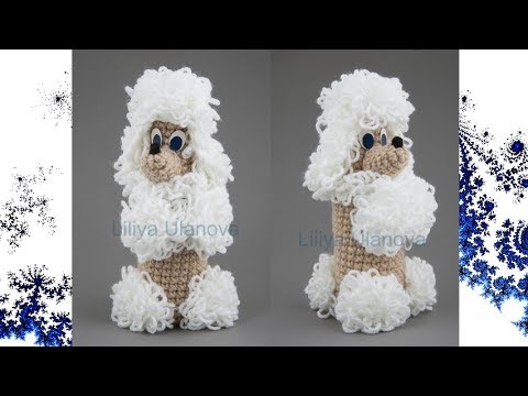 Видео: Собака вязание на бутылку