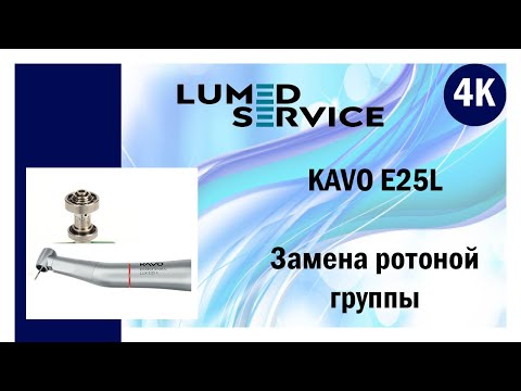 Видео: KAVO E25L Ремонт стоматологического наконечника, замена роторной группы