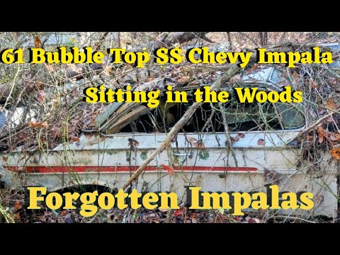 Видео: Chevrolet Impala SS Bubble Top 1961 года выпуска вместе с другими моделями SS Impala на свалке #c...