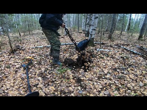 Видео: РАЗВЕДУЮ ДЕЛЯНКУ 70-Х...ЧТО НАМ ОСТАВИЛ СССР...КАКОЙ ТАМ МЕТАЛЛ ЕСТЬ