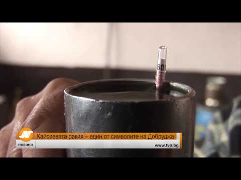 Видео: Кайсиевата ракия - един от символите на Добруджа