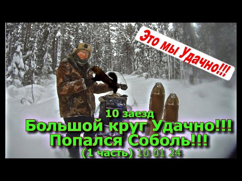 Видео: 10 заезд Большой круг Удачно!!!! Попался Соболь!!! (1 часть) 10 01 24
