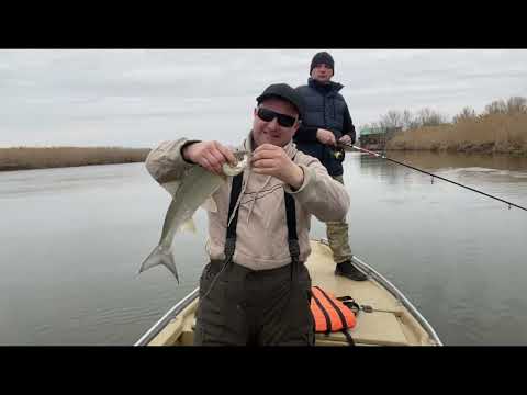Видео: Рыбалка Маково 21.03.2025 г. Жерех есть, трудовой но есть!