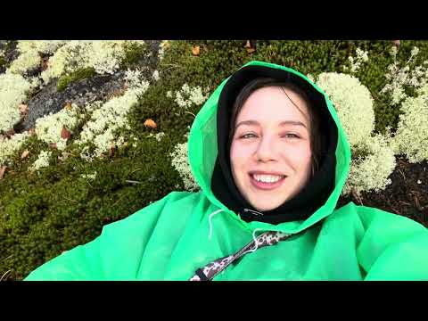 Видео: Путешествуем по Ленинградской области 🚈 Выходные 🎉 Гуляем по лесу 🌲🍂🍁