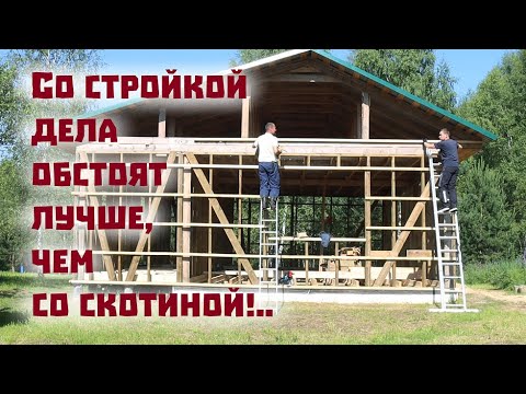 Видео: Про гибель скотины, продолжение строек и надежды на мёд!..