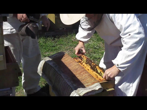 Видео: Вы не поверите! Продолжение