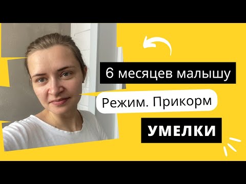 Видео: 6 МЕСЯЦЕВ МАЛЫШУ. РЕЖИМ. ПРИКОРМ. УМЕЛКИ. РУТИНА