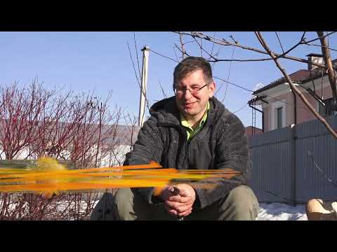 Видео: Консультант Cадовода на Усадьбе №" 17