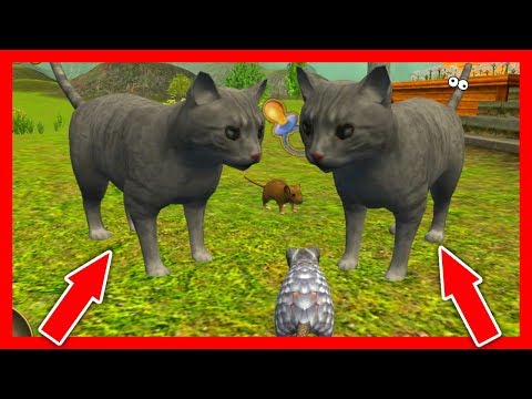 Видео: СИМУЛЯТОР МЫШИ #37 ОХОТИЛИСЬ ДВА КОТА выполняем ЗАДАНИЯ в Mouse Simulator