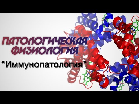 Видео: Патологическая физиология №4 "Иммунопатология"