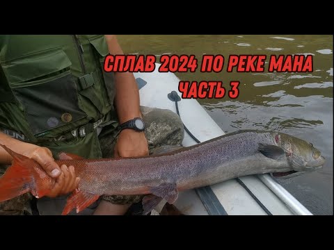 Видео: Сплав по МАНЕ 2024 (3 часть)