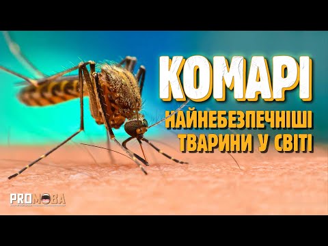 Видео: ЧОМУ КОМАРІ КУСАЮТЬ ОДНИХ ЛЮДЕЙ БІЛЬШЕ НІЖ ІНШИХ? 🦟 [VERITASIUM]