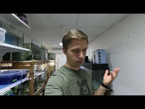 Видео: Понял причину болезни Петушков. Герметик, который не сохнет!