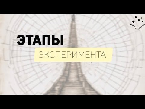 Видео: Этапы эксперимента в дизайне человека