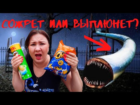 Видео: КАК НАКОРМИТЬ ГОРКУ ПОЖИРАТЕЛЯ. ГОРКА ПОЖИРАТЕЛЬ В РЕАЛЬНОСТИ. СЕРИЯ 3