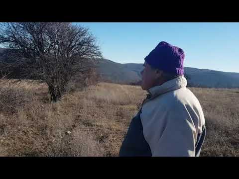 Видео: 🐑НЕОЧАКВАНА СРЕЩА/ ИСТОРИИ С БАЩА МИ🐑