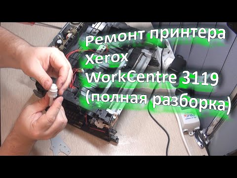 Видео: Ремонт принтера Xerox WorkCentre 3119 (полная разборка)