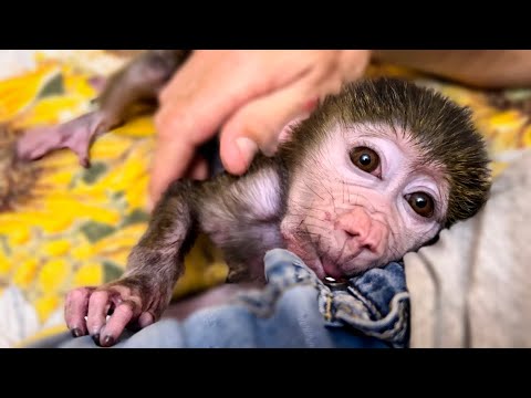 Видео: Как Влад  Люську укладывает спать! СМЕЁМСЯ ВМЕСТЕ)))