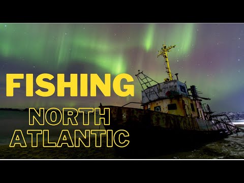 Видео: Fishing: North Atlantic | Омары и красивейшее Северное сияние  | прохождение (без комментариев)