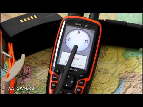 Видео: Обзор как пользоваться Garmin Astro 320 отзыв инструкция с ошейником