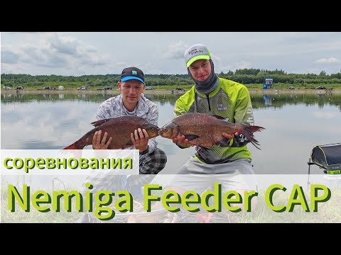 Видео: СУТОЧНЫЕ СОРЕВНОВАНИЯ NEMIGA FEEDER CAP. Ловля леща на гребном канале.