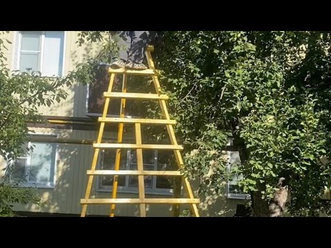 Видео: Садовая трёхногая  лестница. 