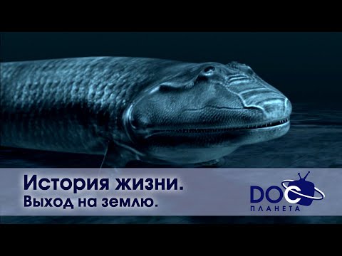 Видео: История жизни - Часть 3.Выход на землю  - Документальный фильм