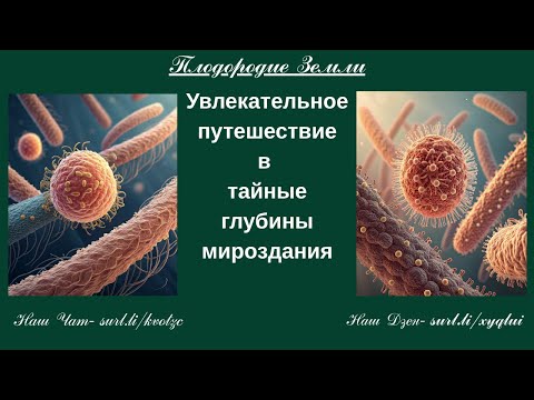 Видео: Жизнь в земле и на Земле 2 часть №842/25