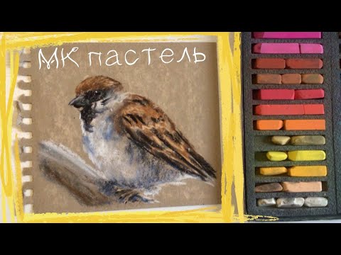 Видео: 💛Как нарисовать воробушка сухой пастелью на крафт бумаге✨ Soft Pastels mungyo