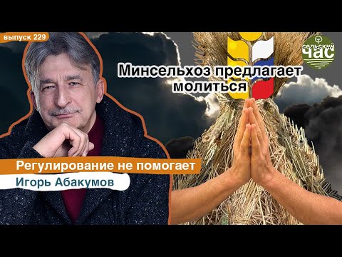 Видео: Минсельхоз предлагает молиться. Сельский час #229 (Игорь Абакумов)